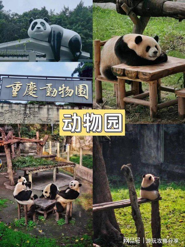 荐重庆有哪些旅游景点 亲身经历分享AG旗舰厅网站首页重庆旅游景点推